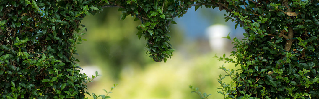 Solo New York Awarded for Global  Sustainability Leadership