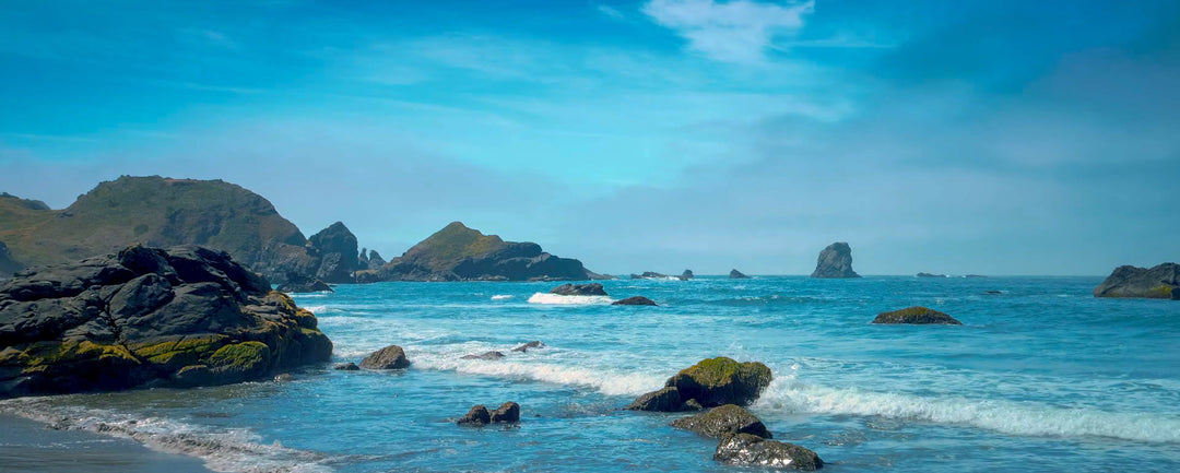 Solo Sustainability - Episode 2