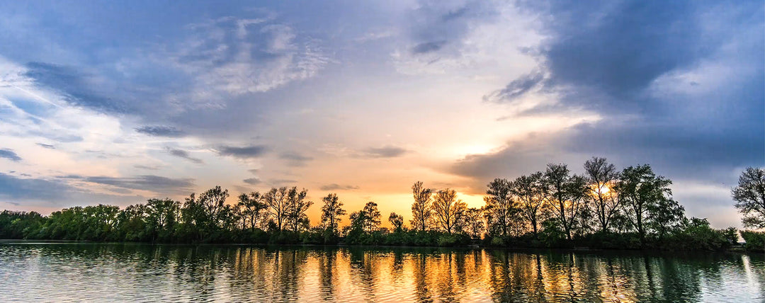 Solo Sustainability - Episode 3