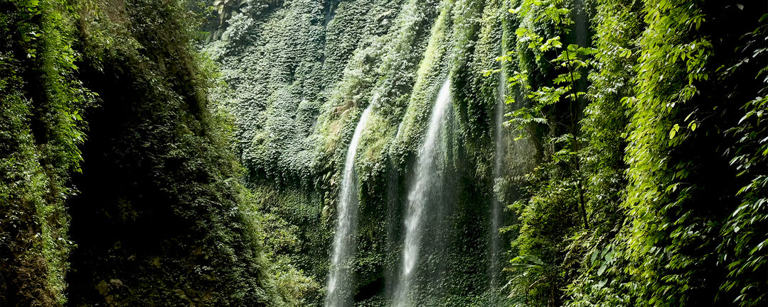 Solo Sustainability - Episode 1